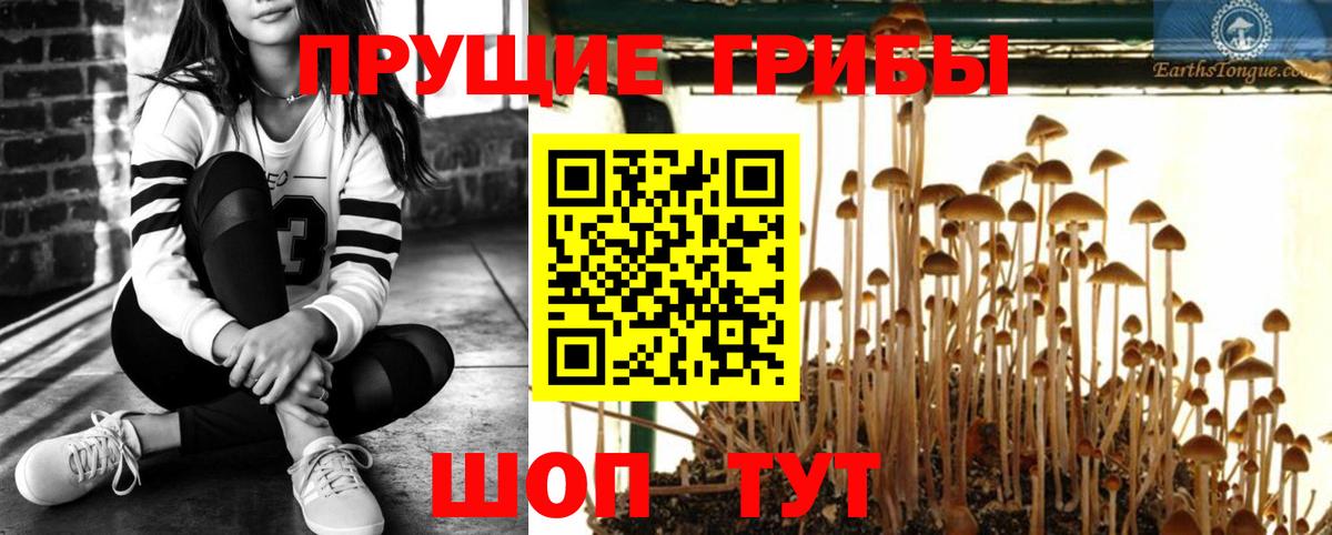 купить закладку  Вход с VPN  Прокопьевск  Галлюциногенные грибы мухоморы 